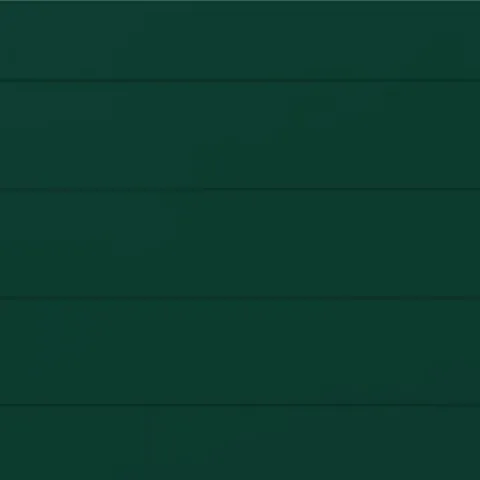 RAL 6005 Połysk 21600